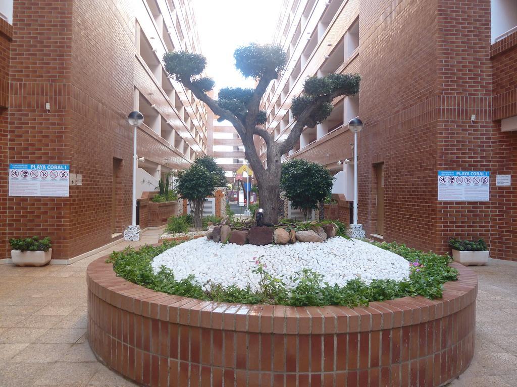 Playa Coral En Marina D'Or Oropesa del Mar Exterior foto